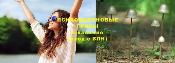 apvp Семёнов
