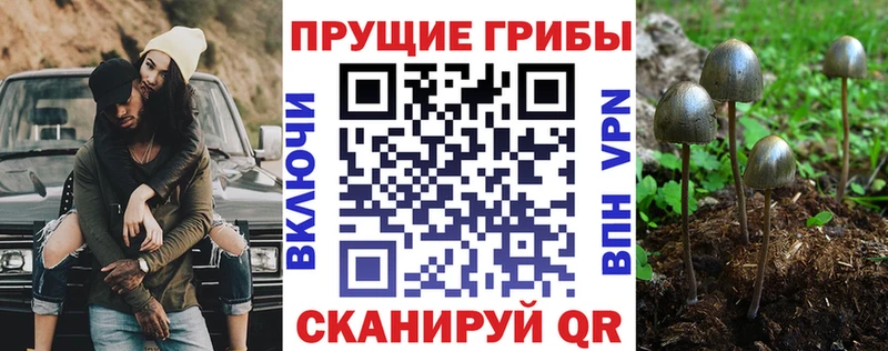 Галлюциногенные грибы Magic Shrooms  darknet формула  Ак-Довурак  сколько стоит  ссылка на мегу ТОР 